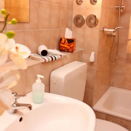 Seepark Falk פרייבורג